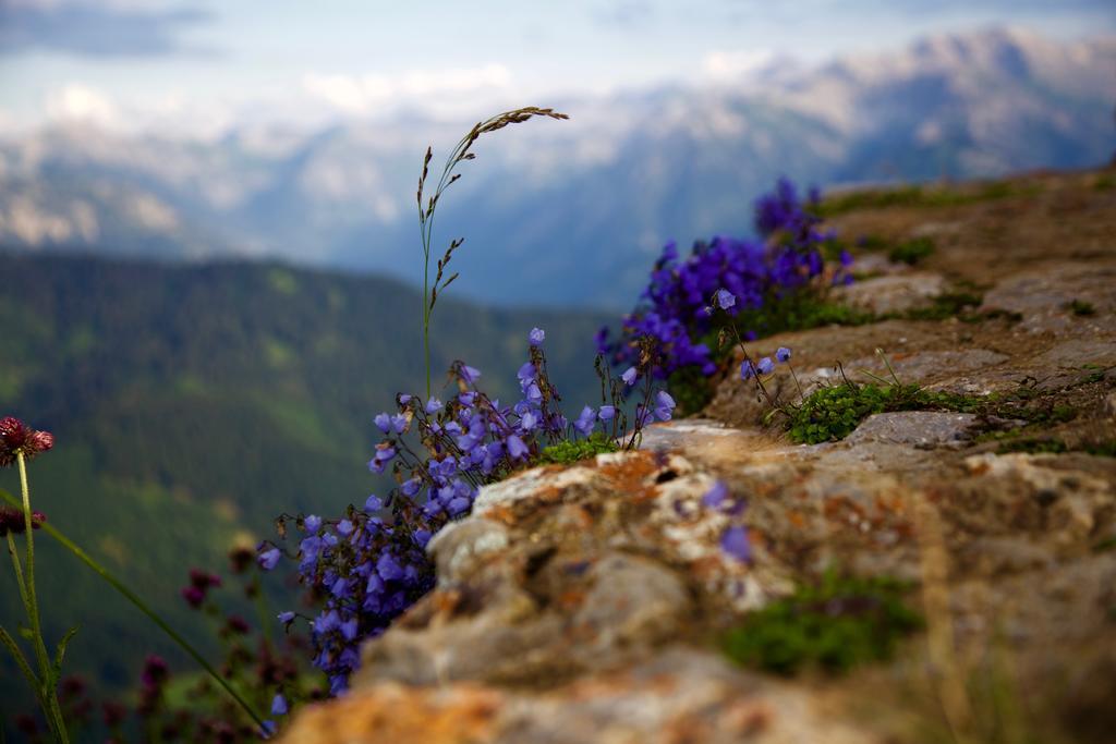 Landhotel Gruben Oberstdorf Exteriér fotografie